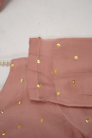Husan e Jahan - Chiffon Outfit with Gharara - Ready to Wear SD446