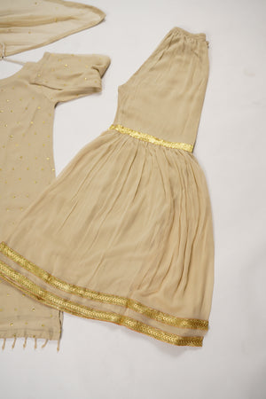 Husan e Jahan - Chiffon Outfit with Gharara - Ready to Wear SD450