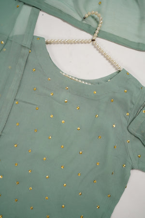 Husan e Jahan - Chiffon Outfit with Gharara - Ready to Wear SD449