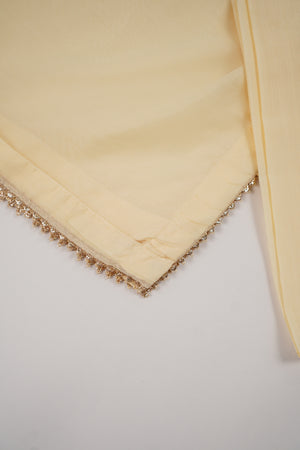 Khaas - Luxury Organza Outfit With Dupatta  - Ready to Wear SD518