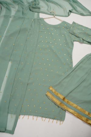 Husan e Jahan - Chiffon Outfit with Gharara - Ready to Wear SD449
