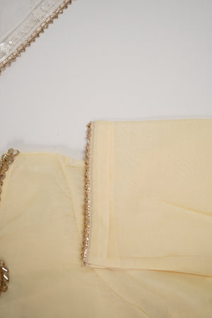 Khaas - Luxury Organza Outfit With Dupatta  - Ready to Wear SD518