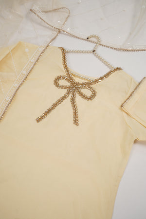 Khaas - Luxury Organza Outfit With Dupatta  - Ready to Wear SD518