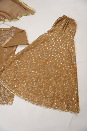 Khaas - Luxury Organza Outfit with chiffon  Dupatta - Ready to Wear SD481