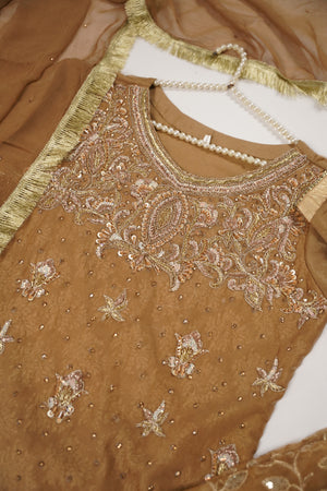 Khaas - Luxury Organza Outfit with chiffon  Dupatta - Ready to Wear SD481
