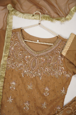 Khaas - Luxury Organza Outfit with chiffon  Dupatta - Ready to Wear SD481