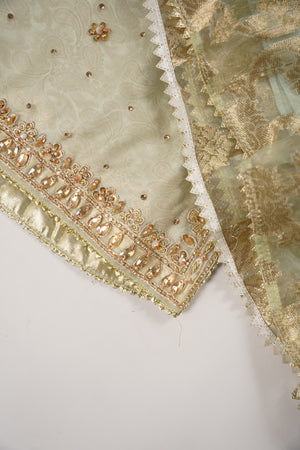 Khaas - Luxury Organza Outfit with chiffon  Dupatta - Ready to Wear SD478