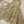 Khaas - Luxury Organza Outfit with chiffon  Dupatta - Ready to Wear SD478