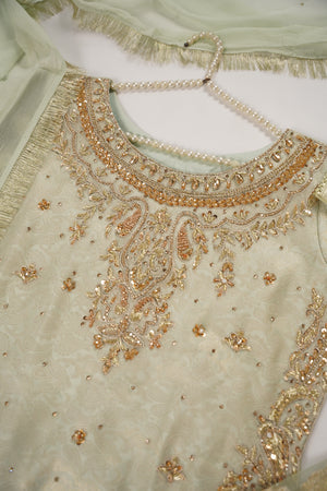 Khaas - Luxury Organza Outfit with chiffon  Dupatta - Ready to Wear SD478