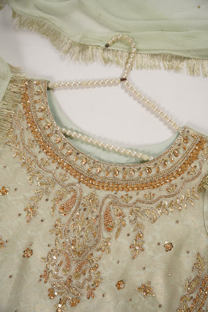 Khaas - Luxury Organza Outfit with chiffon  Dupatta - Ready to Wear SD478