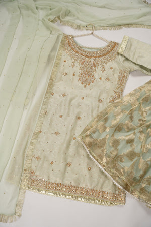 Khaas - Luxury Organza Outfit with chiffon  Dupatta - Ready to Wear SD478