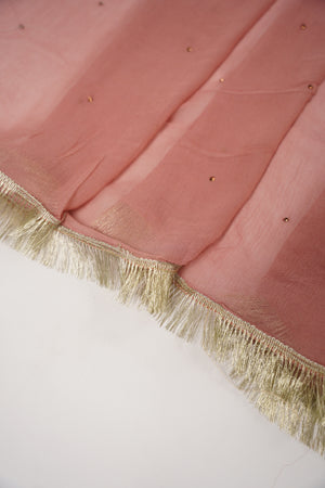 Khaas - Luxury Organza Outfit with chiffon  Dupatta - Ready to Wear SD479