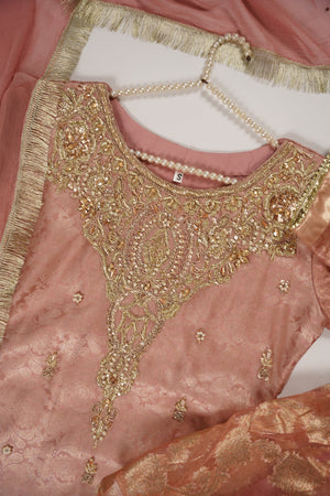Khaas - Luxury Organza Outfit with chiffon  Dupatta - Ready to Wear SD479