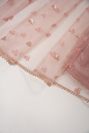 Khaas - Luxury Sheesha Silk Outfit - Ready to Wear SD474