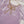 Khaas - Luxury Sheesha Silk Outfit - Ready to Wear SD476