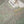 Tehwar - Luxury Festive Collection with Sharara - Ready to Wear - Tehv8d6 - SD