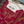 Husan e Jahan - Luxury Festive Collection - Ready to Wear - HEJ-V5-D4-SD