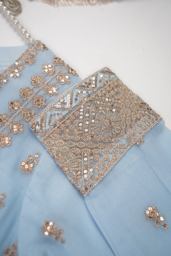 Chiffon Budget Wear Suit with Chiffon Dupatta - Ready to Wear - PD005