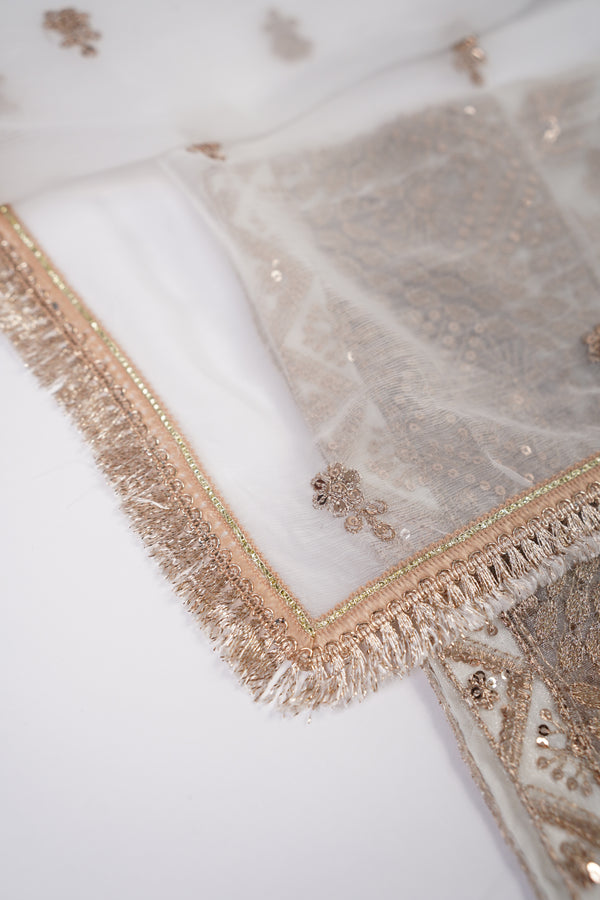 Chiffon Budget Wear Suit with Chiffon Dupatta with Plazzo Bottoms - Ready to Wear - PD002