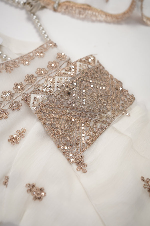 Chiffon Budget Wear Suit with Chiffon Dupatta with Plazzo Bottoms - Ready to Wear - PD002