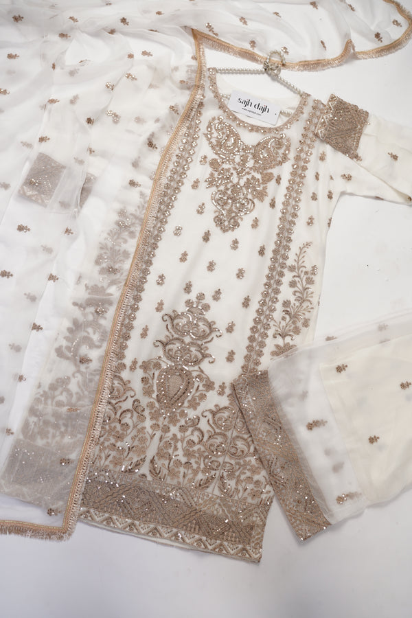 Chiffon Budget Wear Suit with Chiffon Dupatta with Plazzo Bottoms - Ready to Wear - PD002