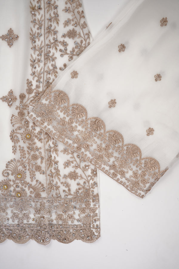 Chiffon Budget Wear Suit with Chiffon Dupatta - Ready to Wear - PD003