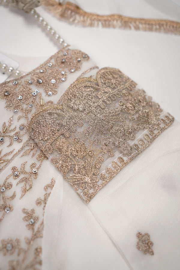Chiffon Budget Wear Suit with Chiffon Dupatta - Ready to Wear - PD003