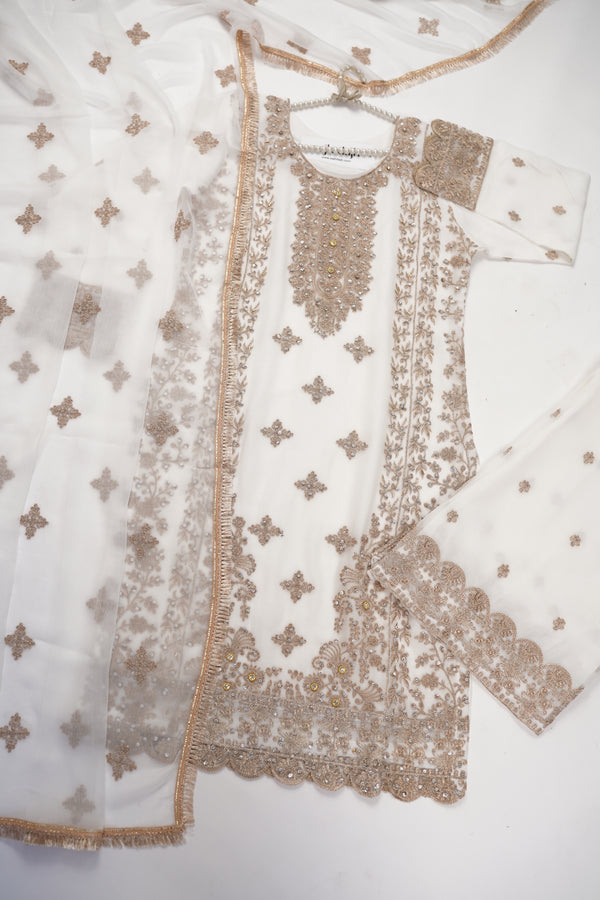 Chiffon Budget Wear Suit with Chiffon Dupatta - Ready to Wear - PD003