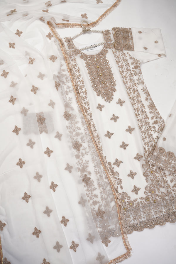 Chiffon Budget Wear Suit with Chiffon Dupatta - Ready to Wear - PD003