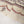 Sada Bahar Originals - Exclusive Lawn  Outfit with Dupatta - Ready to Wear SD472