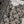 Bin Saeed Originals - Exclusive Lawn Outfit with Dupatta - Ready to Wear - SD297