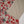 Bin Saeed Originals - Exclusive Lawn Outfit with Dupatta - Ready to Wear - SD296