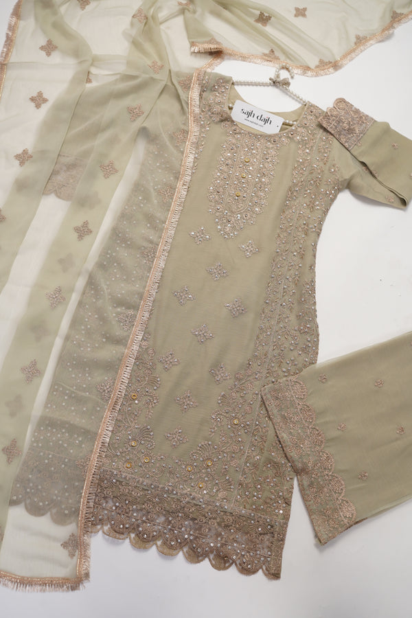 Chiffon Budget Wear Suit with Chiffon Dupatta - Ready to Wear - PD004