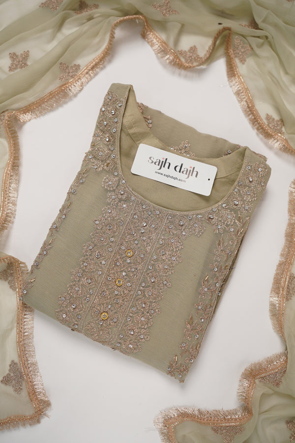 Chiffon Budget Wear Suit with Chiffon Dupatta - Ready to Wear - PD004