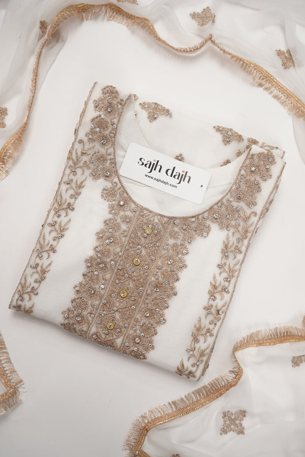 Chiffon Budget Wear Suit with Chiffon Dupatta - Ready to Wear - PD003