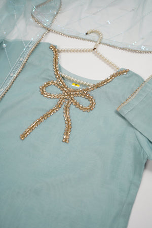 Khaas - Luxury Organza Outfit With Dupatta  - Ready to Wear SD553