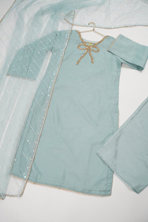 Khaas - Luxury Organza Outfit With Dupatta  - Ready to Wear SD553