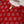 Rozi - Printed  cotton  Outfit - Ready to Wear PD121 red
