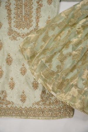 Khaas - Luxury Organza Outfit with chiffon  Dupatta - Ready to Wear SD493