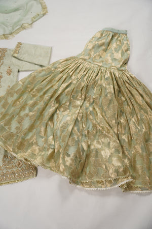 Khaas - Luxury Organza Outfit with chiffon  Dupatta - Ready to Wear SD493