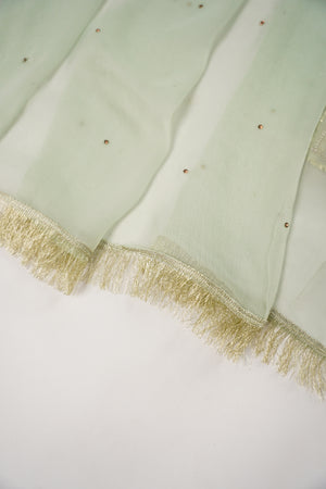 Khaas - Luxury Organza Outfit with chiffon  Dupatta - Ready to Wear SD493