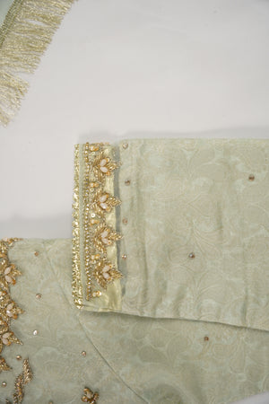 Khaas - Luxury Organza Outfit with chiffon  Dupatta - Ready to Wear SD493