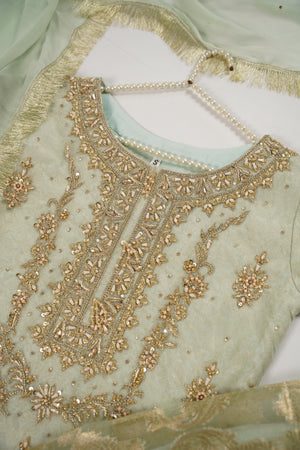 Khaas - Luxury Organza Outfit with chiffon  Dupatta - Ready to Wear SD493