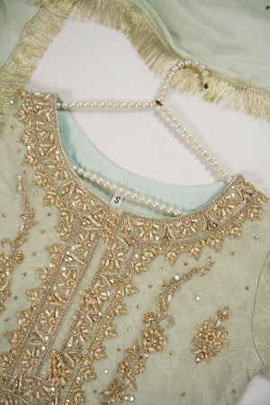 Khaas - Luxury Organza Outfit with chiffon  Dupatta - Ready to Wear SD493