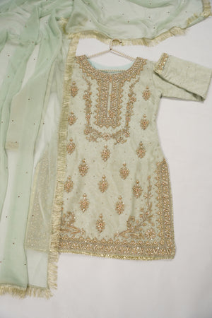 Khaas - Luxury Organza Outfit with chiffon  Dupatta - Ready to Wear SD493