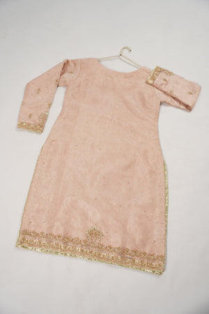 Khaas - Luxury Organza Outfit with chiffon  Dupatta - Ready to Wear SD492