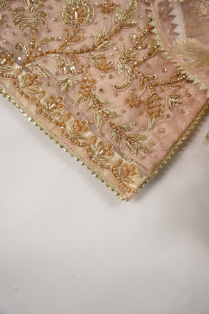 Khaas - Luxury Organza Outfit with chiffon  Dupatta - Ready to Wear SD492
