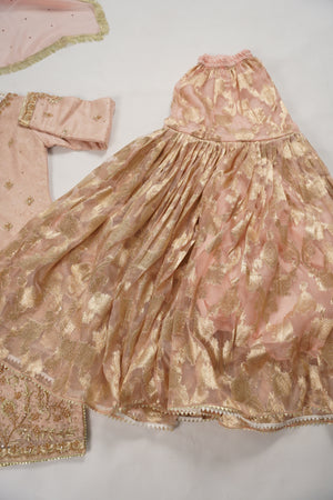 Khaas - Luxury Organza Outfit with chiffon  Dupatta - Ready to Wear SD492