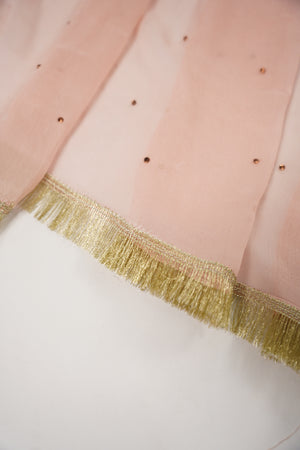 Khaas - Luxury Organza Outfit with chiffon  Dupatta - Ready to Wear SD492