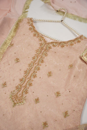 Khaas - Luxury Organza Outfit with chiffon  Dupatta - Ready to Wear SD492